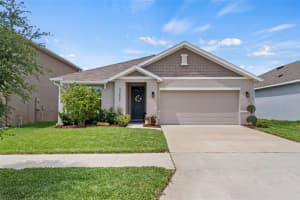 33607 Hamilton Hill Ln, WESLEY CHAPEL