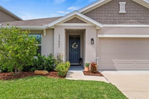 33607 HAMILTON HILL LANE, WESLEY CHAPEL, FL 33545 - MLS#MFRTB8505353