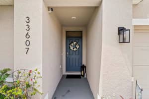 33607 HAMILTON HILL LANE, WESLEY CHAPEL, FL 33545 - MLS#MFRTB8505353