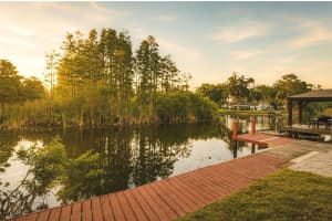 17002 PAULA LANE, LUTZ, FL 33558 - MLS#MFRTB8505363