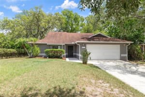 11315 N Ola Ave, TAMPA