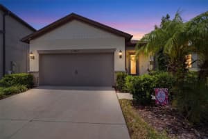 11401 GREEN HARVEST DRIVE, RIVERVIEW, FL 33578 - MLS#MFRTB8505392