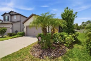 11401 GREEN HARVEST DRIVE, RIVERVIEW, FL 33578 - MLS#MFRTB8505392