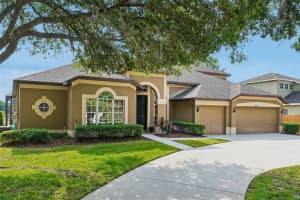 19117 MANDARIN GROVE PLACE, TAMPA, FL 33647 - MLS#MFRTB8505398