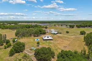 41451 NIPPER ROAD, ZEPHYRHILLS, FL 33540 - MLS#MFRTB8505407