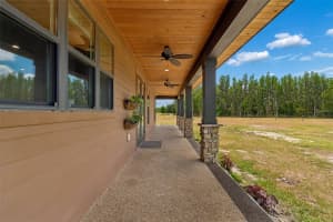 41451 NIPPER ROAD, ZEPHYRHILLS, FL 33540 - MLS#MFRTB8505407