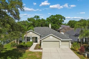 15217 Octavia Ln, ODESSA 15217 Octavia Ln, ODESSA