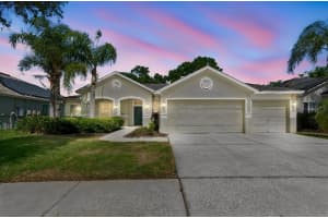 15217 OCTAVIA LANE, ODESSA, FL 33556 - MLS#MFRTB8505473