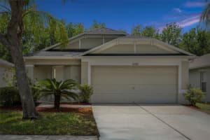 25932 TERRAWOOD LOOP, LAND O LAKES, FL 34639 - MLS#MFRTB8505474
