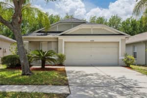 25932 TERRAWOOD LOOP, LAND O LAKES, FL 34639 - MLS#MFRTB8505474