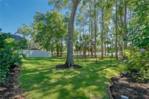 15501 KINGSMILL PLACE, ODESSA, FL 33556 - MLS#MFRTB8505489