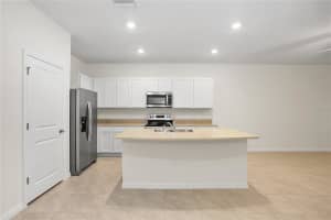 32859 PEZ LANDING LANE, WESLEY CHAPEL, FL 33543 - MLS#MFRTB8505500