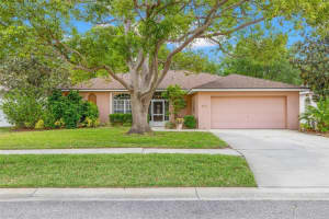 3711 Palmas Ln, SUN CITY CENTER