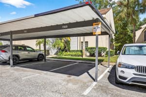 7809 NIAGARA AVENUE, TAMPA, FL 33617 - MLS#MFRTB8505541