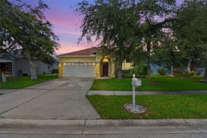 10301 Beneva Dr, TAMPA
