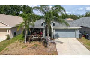 9817 WHITE BARN WAY, RIVERVIEW, FL 33569 - MLS#MFRTB8505559