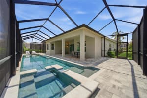 30423 TRISTANIA COURT, WESLEY CHAPEL, FL 33543 - MLS#MFRTB8505571