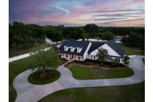 1319 BROOKER ROAD, BRANDON, FL 33511 - MLS#MFRTB8505572