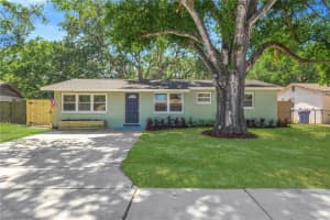 3820 Beechwood Blvd, TAMPA