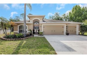 4604 Purple Tiger Ct, LUTZ