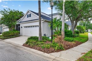 10801 SPRING MOUNTAIN PLACE, TAMPA, FL 33626 - MLS#MFRTB8505629