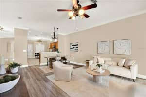 19428 HASKELL PLACE, LAND O LAKES, FL 34638 - MLS#MFRTB8505647