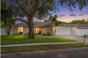870 16TH LANE, PALM HARBOR, FL 34683 - MLS#MFRTB8505650