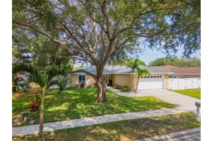 870 16TH LANE, PALM HARBOR, FL 34683 - MLS#MFRTB8505650