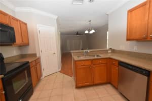 4901 ELIZABETH ANNE CIRCLE, TAMPA, FL 33616 - MLS#MFRTB8505661