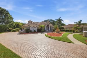19115 SAINT EMILION COURT, LUTZ, FL 33558 - MLS#MFRTB8505671