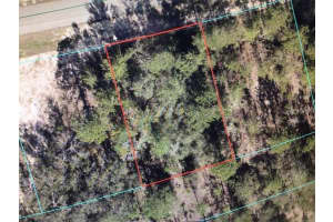 SW 153 PLACE ROAD, OCALA, FL 34473 - MLS#MFRTB8505675