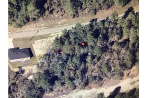 SW 153 PLACE ROAD, OCALA, FL 34473 - MLS#MFRTB8505675