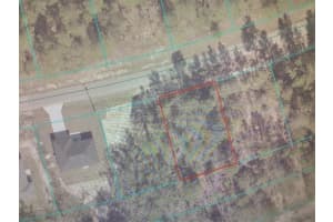 SW 153 PLACE ROAD, OCALA, FL 34473 - MLS#MFRTB8505675