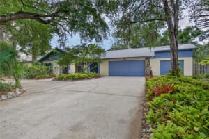 901 RIVER DRIVE, TEMPLE TERRACE, FL 33617 - MLS#MFRTB8505695