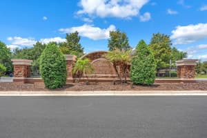 9625 BATON ROUGE LANE, LAND O LAKES, FL 34638 - MLS#MFRTB8505696