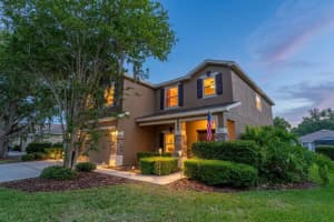 6302 Bridgevista Dr, LITHIA 6302 Bridgevista Dr, LITHIA