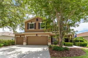 6302 BRIDGEVISTA DRIVE, LITHIA, FL 33547 - MLS#MFRTB8505699