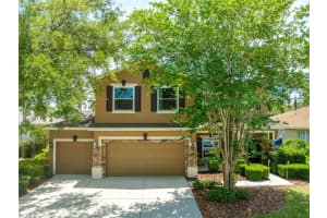 6302 BRIDGEVISTA DRIVE, LITHIA, FL 33547 - MLS#MFRTB8505699
