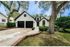 331 CASCADE LANE, PALM HARBOR, FL 34684 - MLS#MFRTB8505713