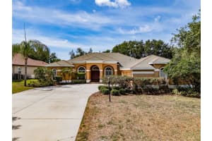 2906 Hillside Ramble Dr, BRANDON 2906 Hillside Ramble Dr, BRANDON