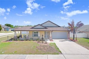 1209 SPOTTED LILAC LANE, PLANT CITY, FL 33563 - MLS#MFRTB8505758