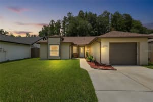 12832 Coverdale Dr, TAMPA 12832 Coverdale Dr, TAMPA