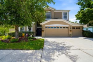 9643 ASBEL ESTATES STREET, LAND O LAKES, FL 34638 - MLS#MFRTB8505770