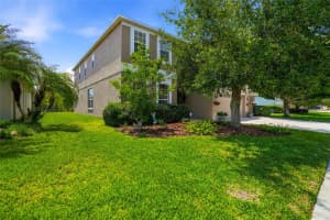9643 ASBEL ESTATES STREET, LAND O LAKES, FL 34638 - MLS#MFRTB8505770