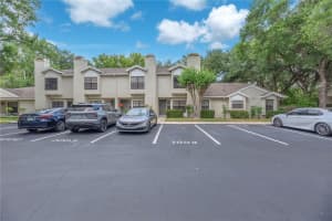 5100 BURCHETTE ROAD, TAMPA, FL 33647 - MLS#MFRTB8505778