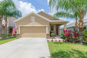 7017 FEATHER WOOD DRIVE, SUN CITY CENTER, FL 33573 - MLS#MFRTB8505791