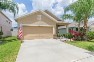 7017 FEATHER WOOD DRIVE, SUN CITY CENTER, FL 33573 - MLS#MFRTB8505791