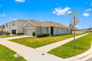2959 COMMON FIG RUN, WESLEY CHAPEL, FL 33543 - MLS#MFRTB8505794