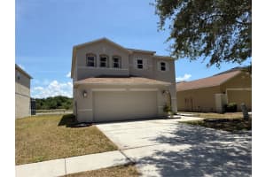 11009 GOLDEN SILENCE DRIVE, RIVERVIEW, FL 33579 - MLS#MFRTB8505823