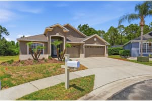 2453 ADDINGTON PLACE, WESLEY CHAPEL, FL 33543 - MLS#MFRTB8505838